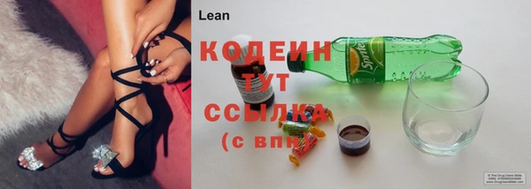 гидропоника Дмитриев