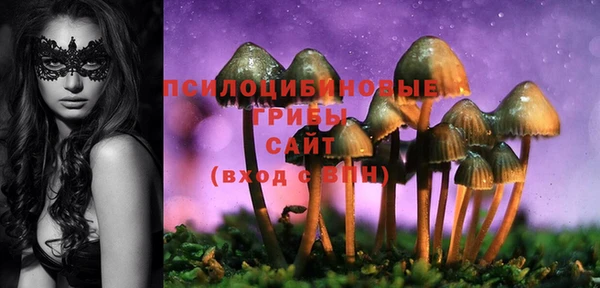 винт Дмитров