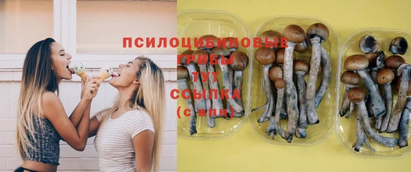 винт Дмитров