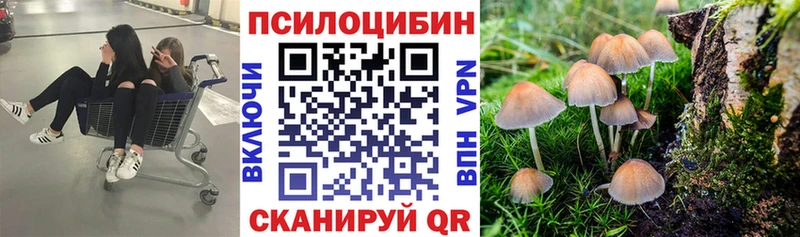 наркотики  Устюжна  mega как зайти  Галлюциногенные грибы мухоморы 